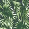 Buy 😉 Australia Only - Superfresco Easy 52cm X 10m Elegant Leaves Green Wallpaper 🧨 -Superfresco Easy Sales 49234a1959e54accaad5698e9f314e5a